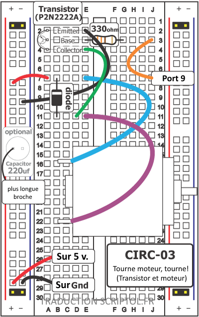 Circuit Layout