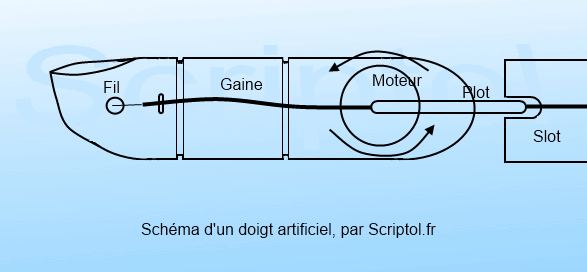 Articulations d'un doigt artificiel