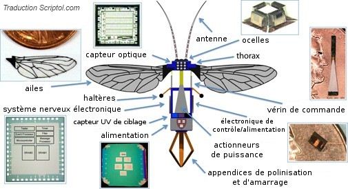 L'architecture du robot abeille