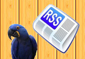 Editeur RSS ARA