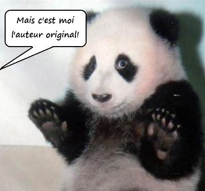 Panda coupable. A quoi ressemble un panda pris sur le fait. Culpabilité évidente