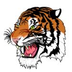 Tigre en SVG