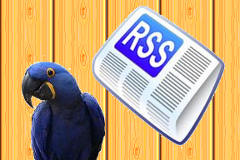 Editeur RSS